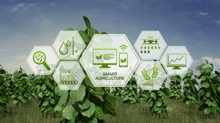 Agriculture’s Digital Revolution: Farming for Tomorrow